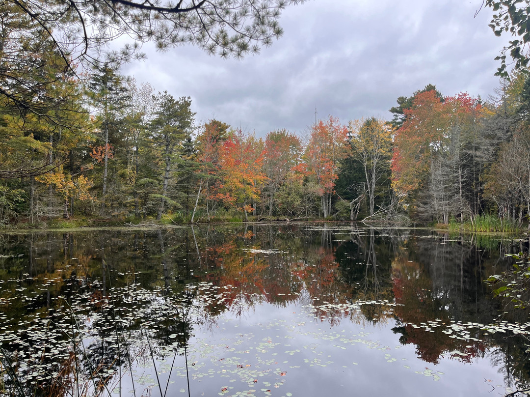 Shubenacadie Wildlife Park-舒贝纳卡迪必去景点