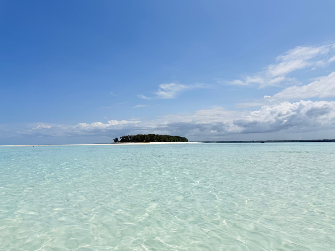 Simba Fishing Zanzibar-Pwani Mchangani必去景点