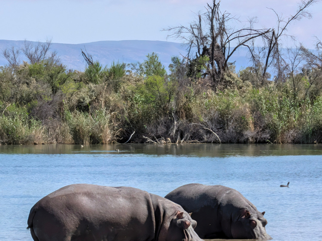 Inverdoorn Private Game Reserve-开普敦中心区必去景点