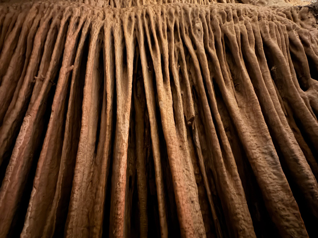 Lehman Caves-Great Basin National Park必去景点