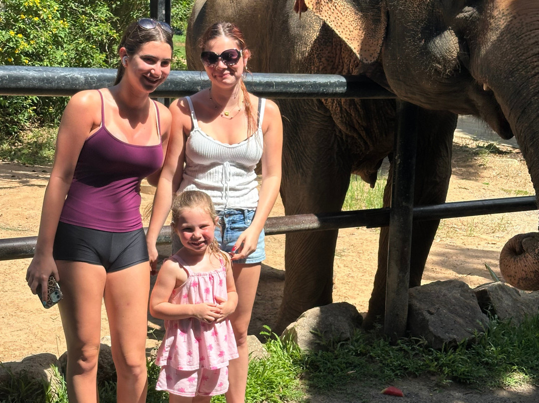 Samui Elephant Sanctuary-波普特必去景点