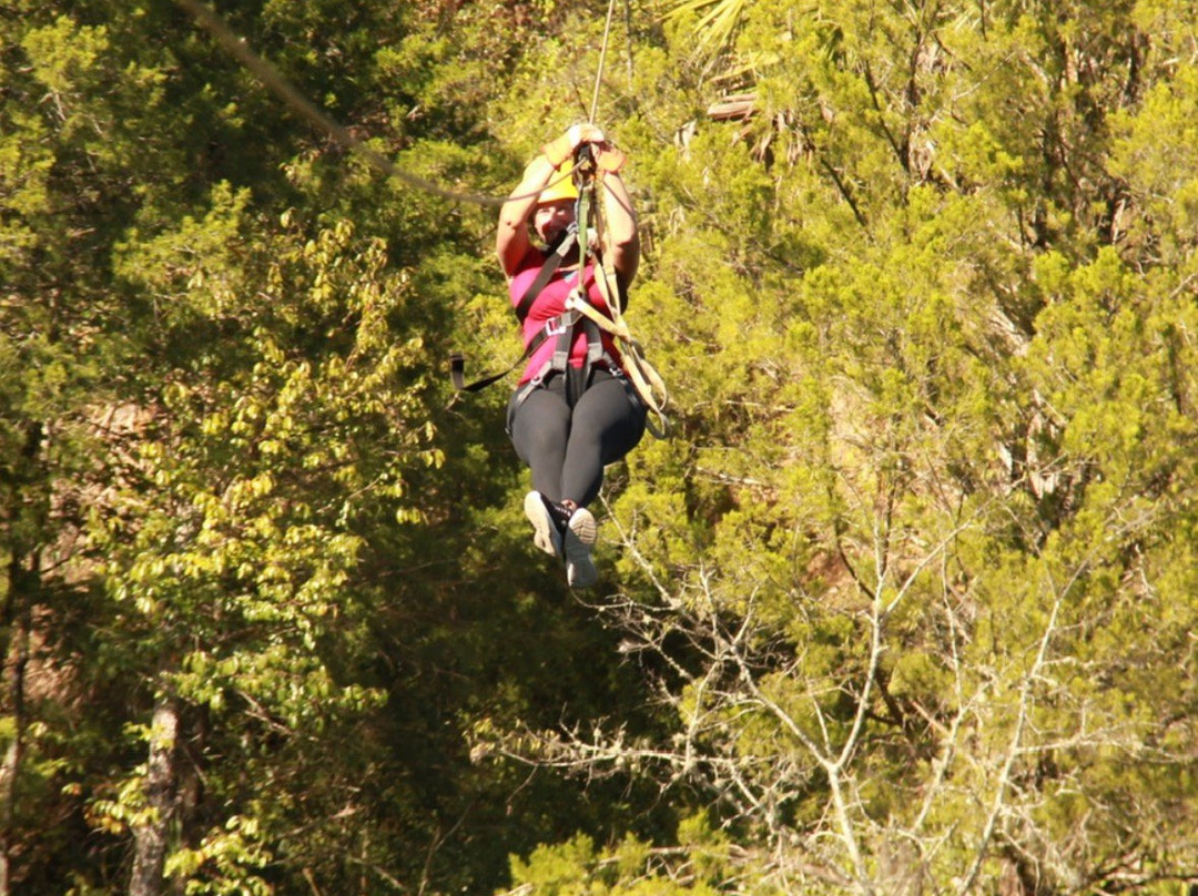 Canyons Zip Line & Canopy Tours-奥卡拉必去景点