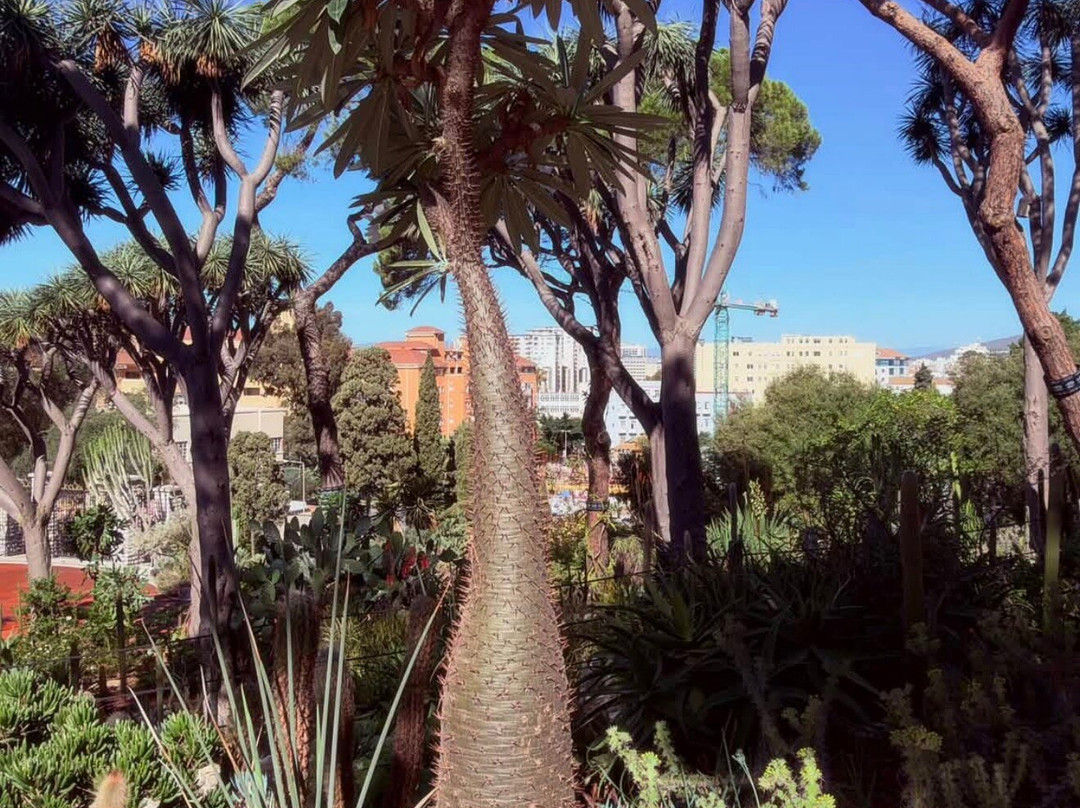 Gibraltar Botanic Gardens (The Alameda)-直布罗陀必去景点