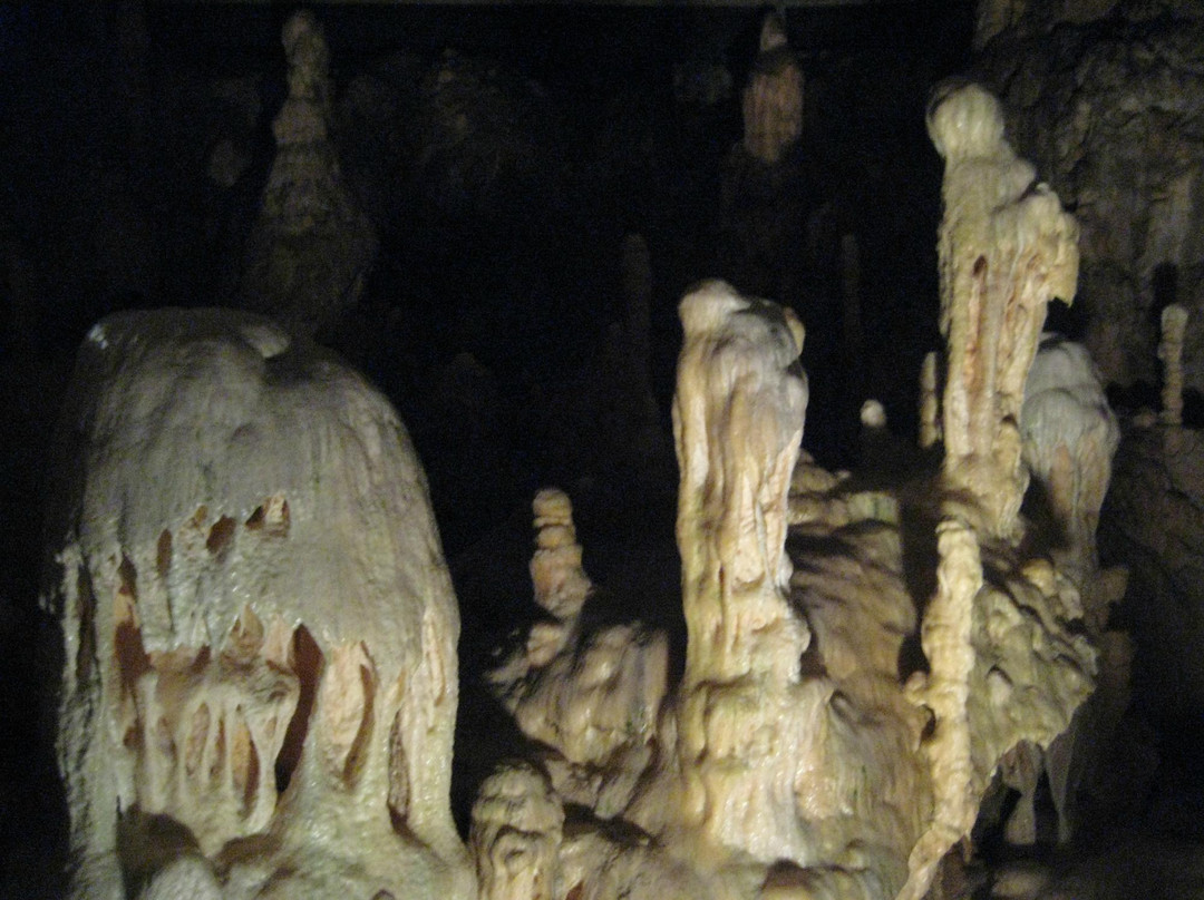 Bears' Cave景点图片