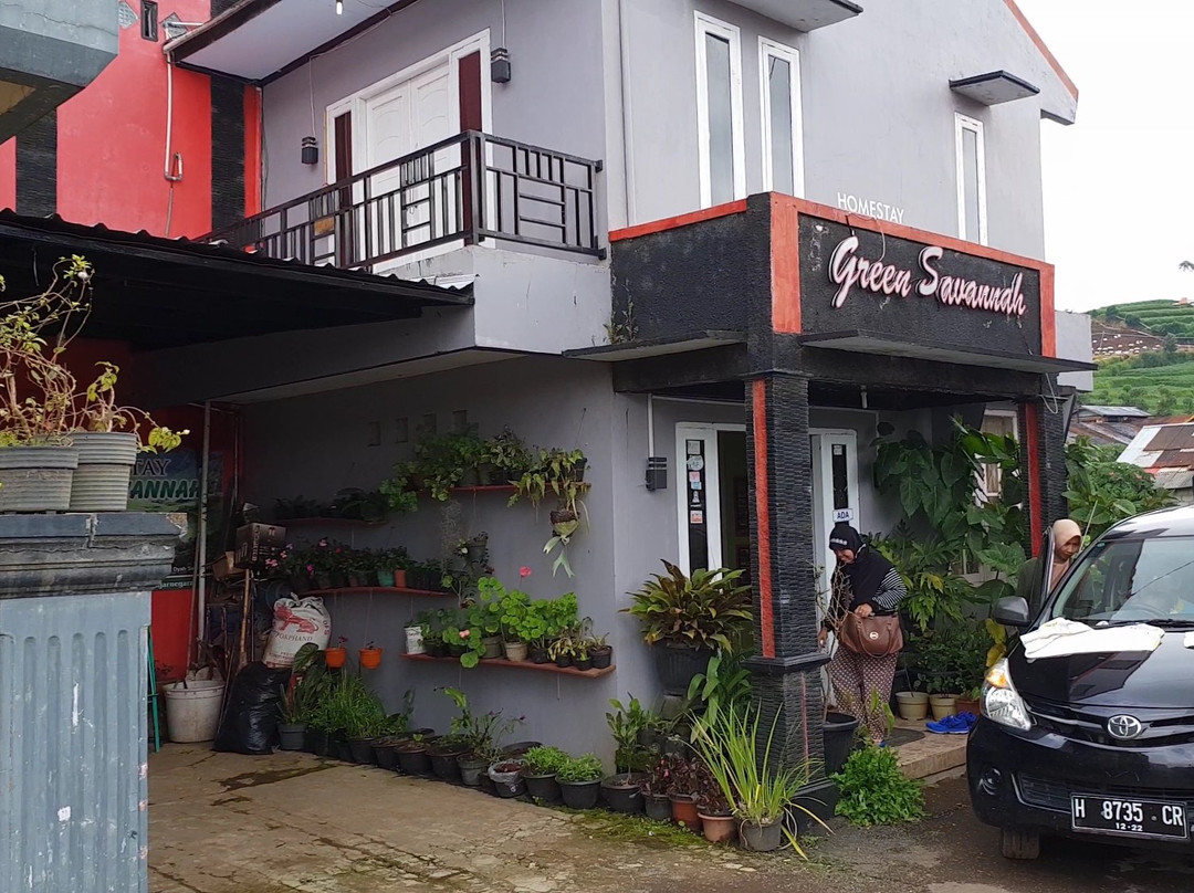 Green Savanah Homestay主图