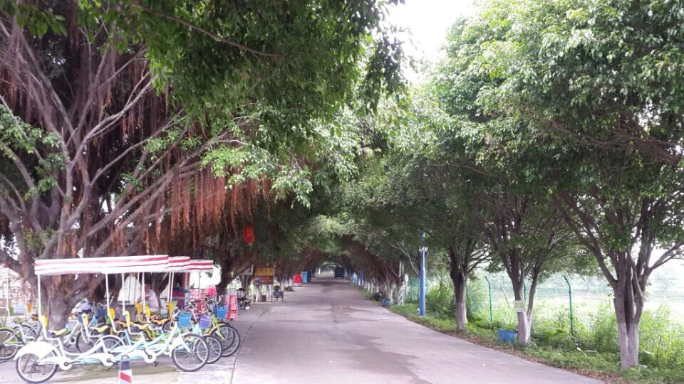 曲江县旅游景点-海寿岛