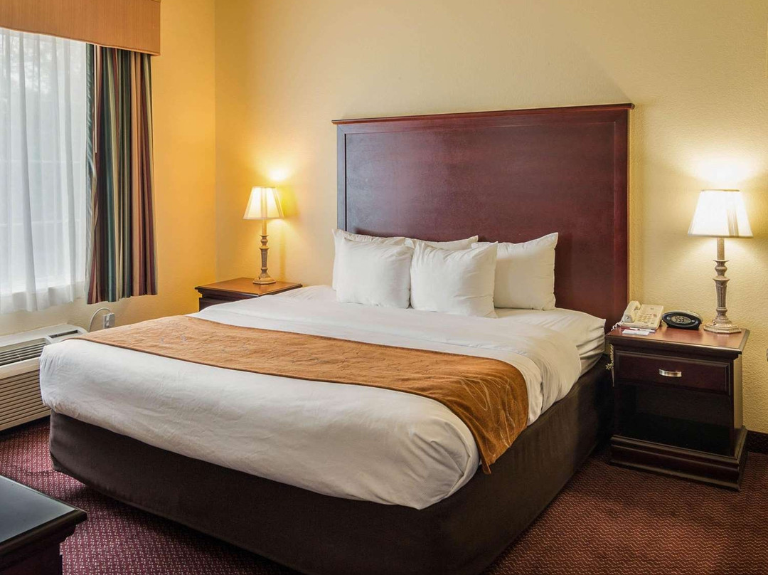 Comfort Suites Texarkana Texas主图