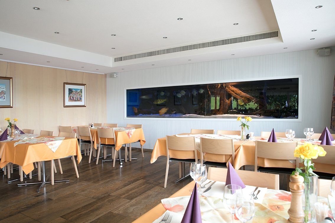 Freudenberg Hotel-官方