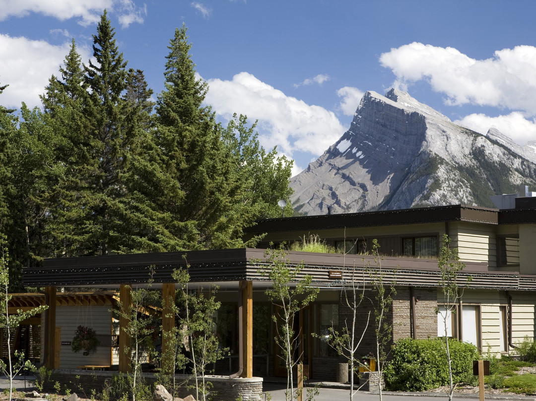 杜松子酒店主图