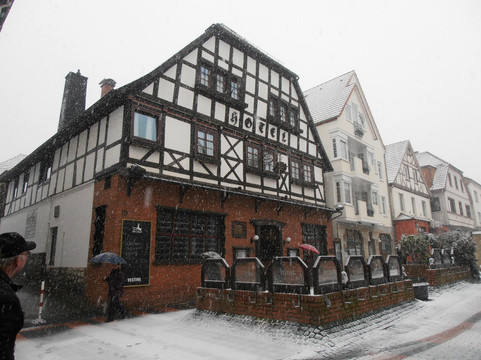 Bad Driburg酒店住宿-Hotel zum Braunen Hirschen
