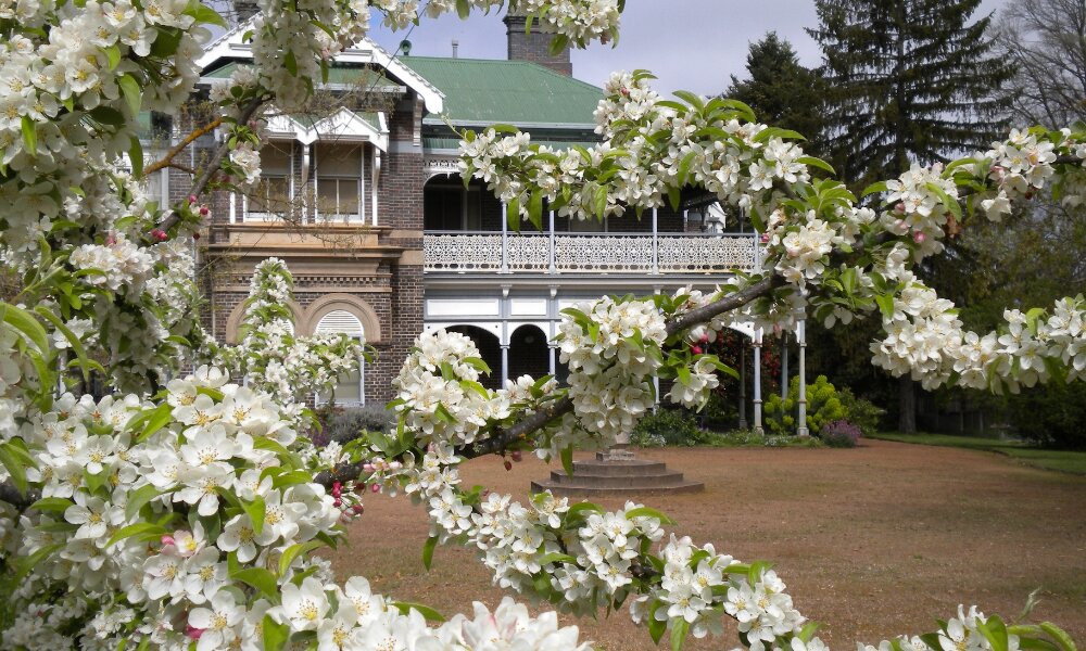 Armidale Farmers' Market景点图片