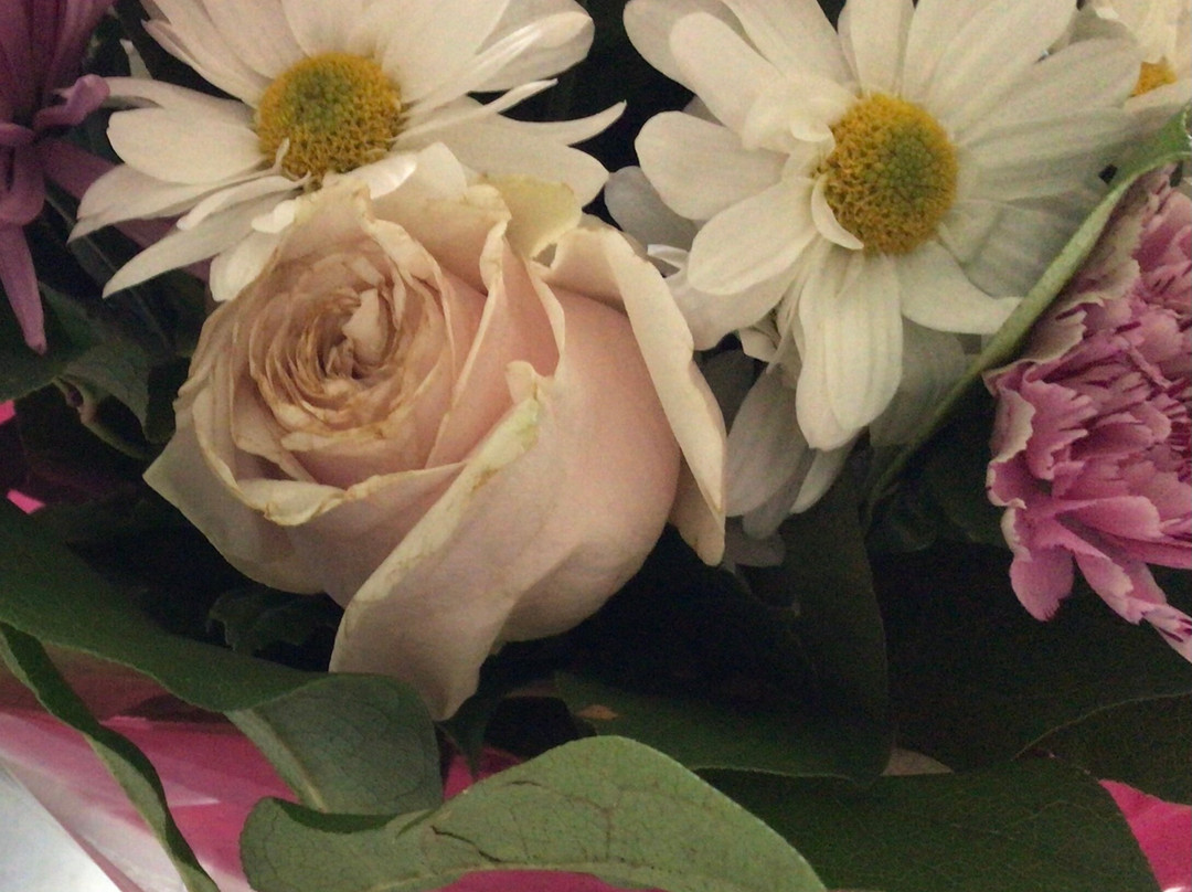 Earthen Elegance Floral景点图片