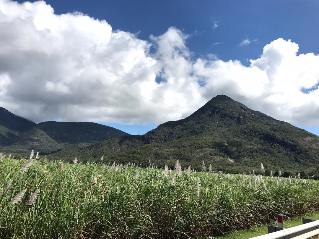 Bellenden Ker旅游景点-Walshs Pyramid