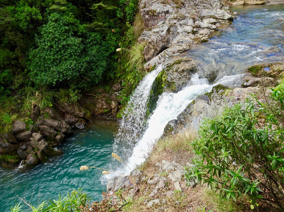 Tawhai Falls景点图片