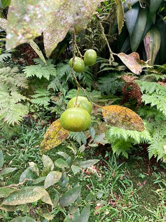 La Vallée Heureuse-Le Brule必去景点