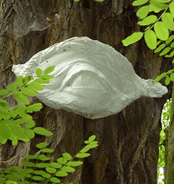 Sauener Wald-Rietz-Neuendorf必去景点