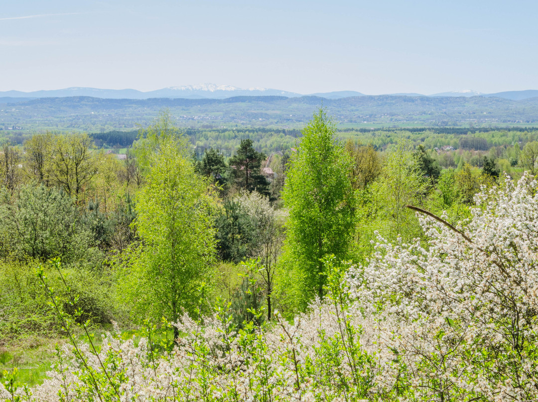 Kajasowka-Czernichow必去景点