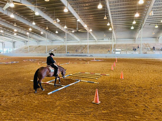 Escambia County Equestrian Center景点图片