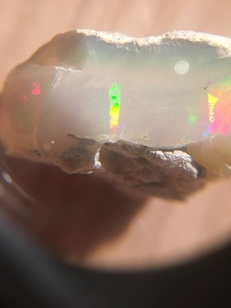 Patricia & Phillip Frost Art Museum-迈阿密必去景点