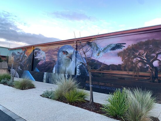 Wedderburn Goldseeker Motel主图