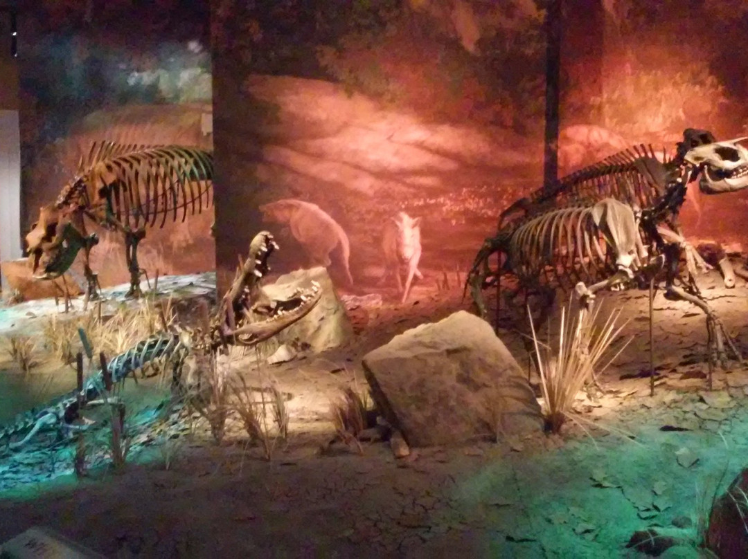 Gray旅游景点-Gray Fossil Site