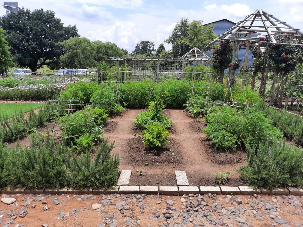 Baris Monger-克拉伦斯必去景点