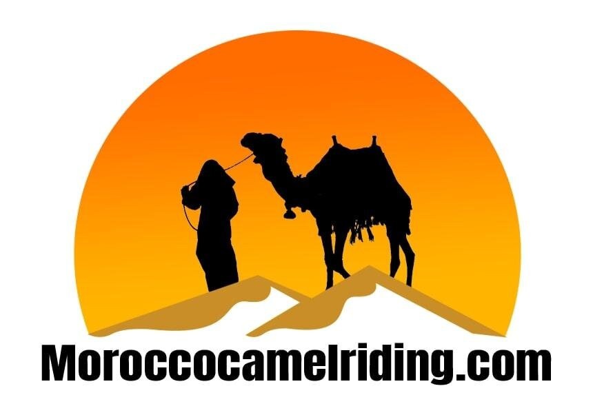 Morocco Camel Riding景点图片