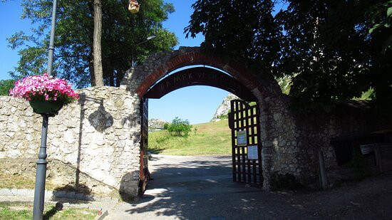 Zamek w Olsztynie景点图片