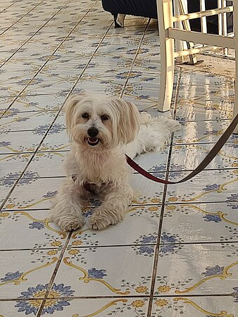 Palazzo Dogana Rooms主图