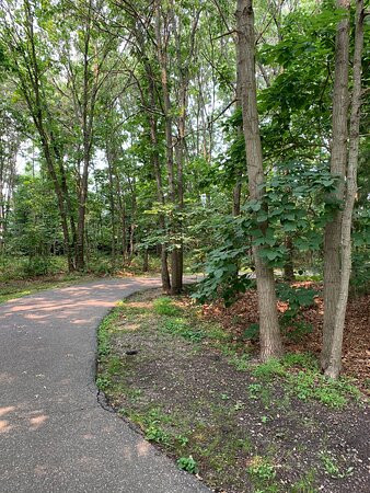 Robert J. Henke Nature Preserve Passive Park景点图片