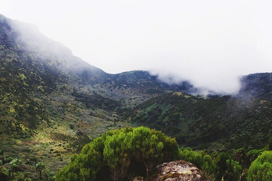 Loyal Tours & Safaris