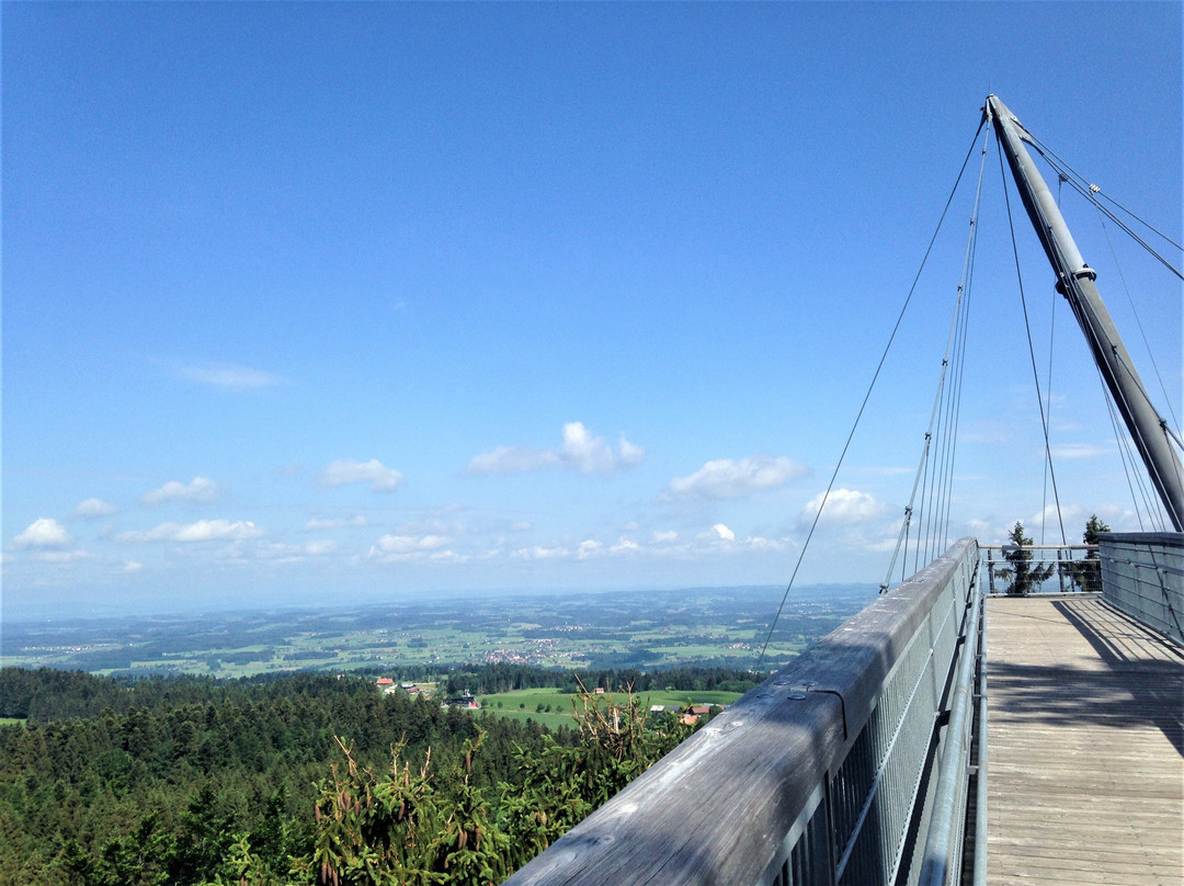 Skywalk Allgaeu  Wald Abenteuerwelt景点图片