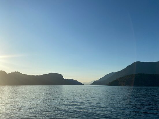 Discovery Marine Safaris Ltd.-坎贝尔里弗必去景点