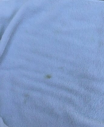 Geyserville Inn主图