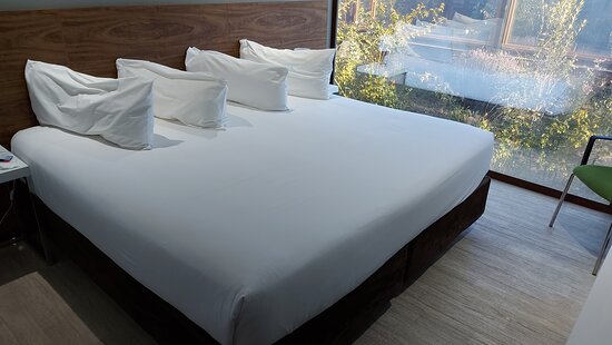 Park Inn By Radisson Los Olivos de Vallenar-客卧