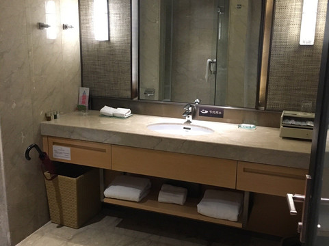 金方森林温泉半山酒店主图