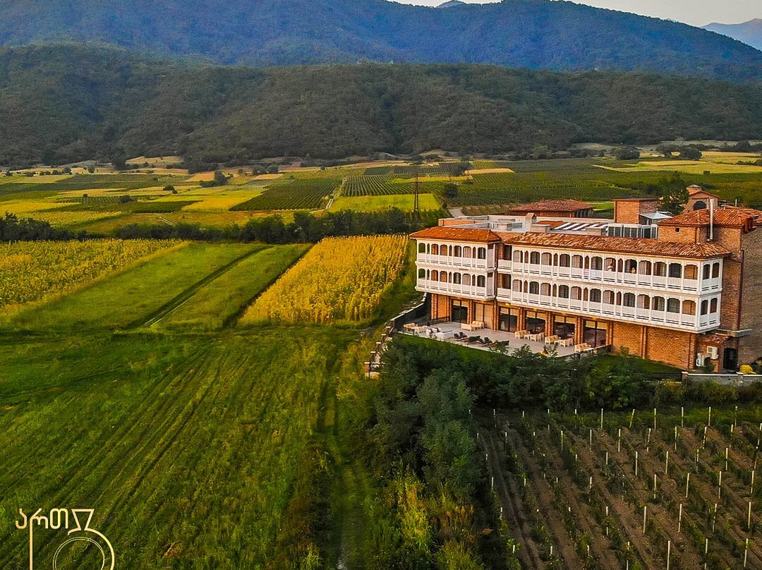 Chateau Artwine
