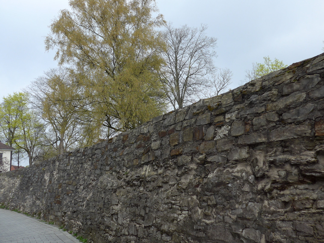 Pader Wall Fußweg An Der Pader景点图片