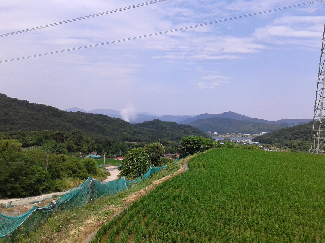 漆谷郡旅游攻略图片