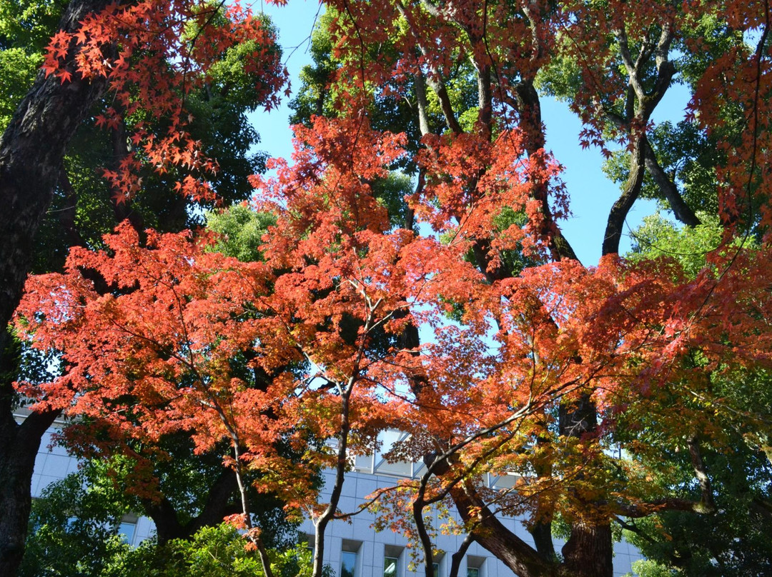 Korekiyo Takahashi Memorial Park
