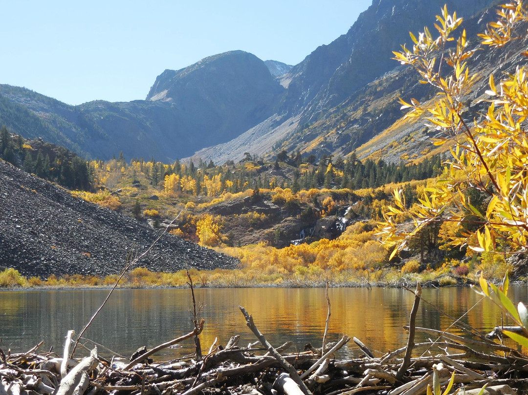利韦宁旅游攻略图片
