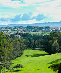 非洲吉佳利图片