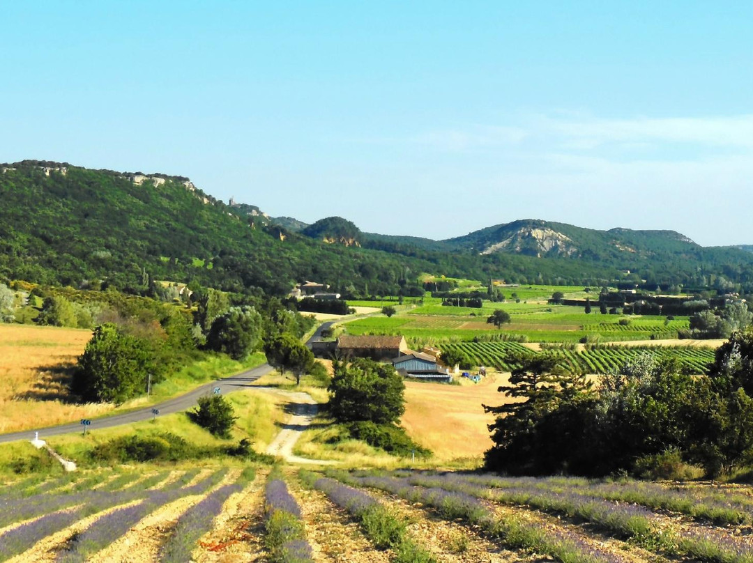 Clansayes旅游攻略图片