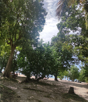 Plage de Petit-Havre-Le Gosier必去景点