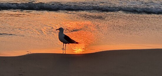 Ramee Dream Resort - Seeb, Muscat主图