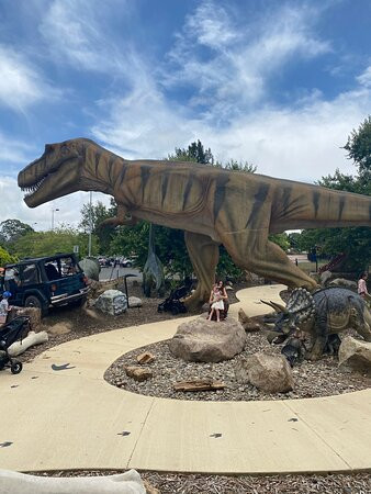 The National Dinosaur Museum景点图片