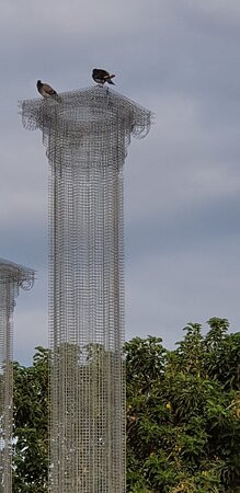 Lungomare Falcomatà景点图片