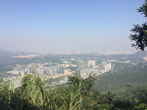 塘朗山郊野公园-深圳市必去景点