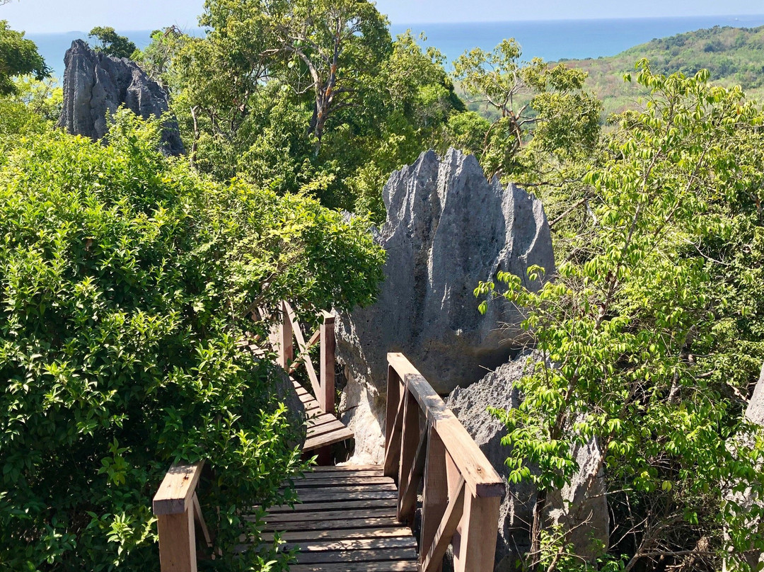 Point Dugong景点图片