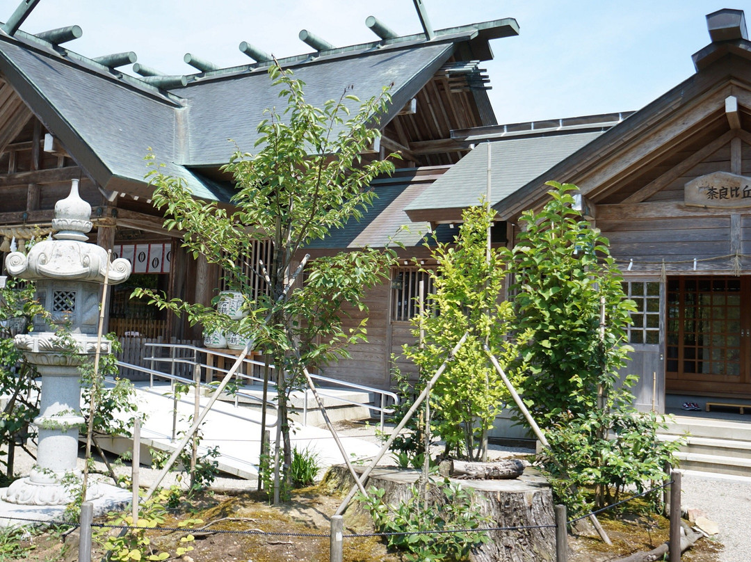 Kushida Shrine景点图片